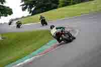 cadwell-no-limits-trackday;cadwell-park;cadwell-park-photographs;cadwell-trackday-photographs;enduro-digital-images;event-digital-images;eventdigitalimages;no-limits-trackdays;peter-wileman-photography;racing-digital-images;trackday-digital-images;trackday-photos